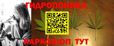 спайс Кунгур