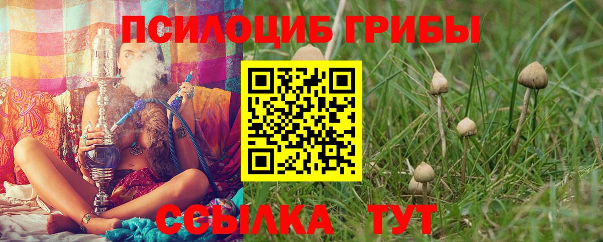 Псилоцибиновые грибы мухоморы Кисловодск